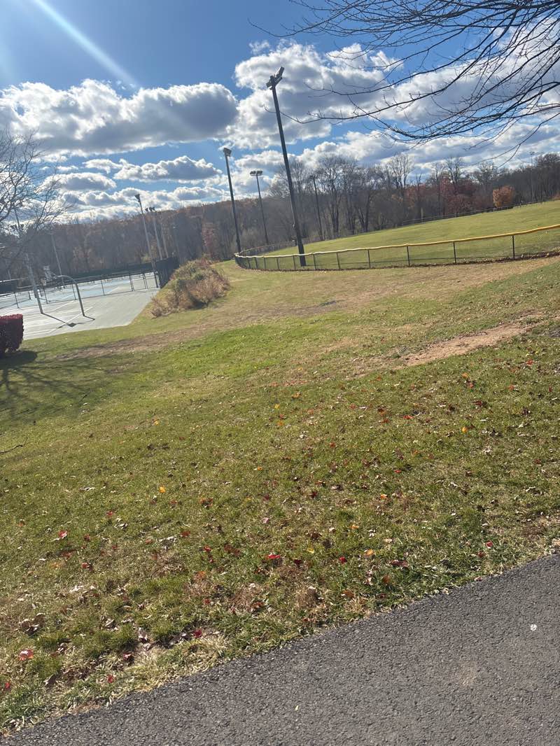 walking near me in Masons Mill Park in autumn