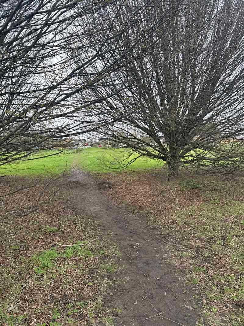 walking near me in Badger Wood Walk in winter