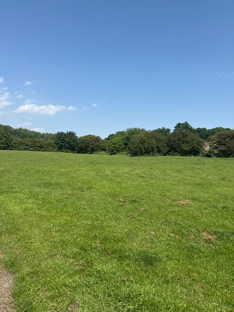 walking near me in Kippax Leisure Centre Field in summer