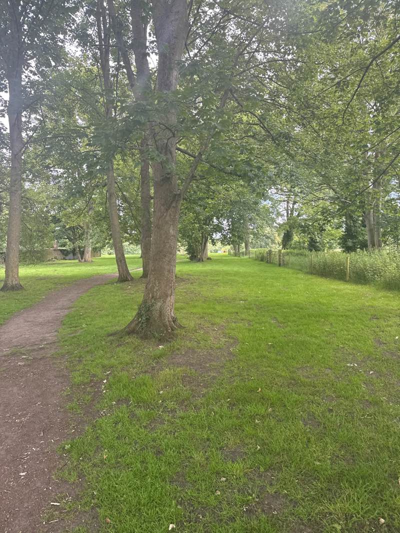 walking near me in Castle Park in summer
