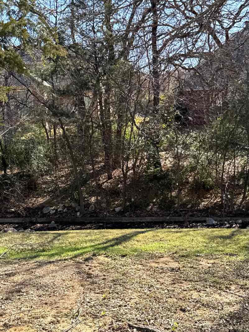 walking near me in Woods Park in winter