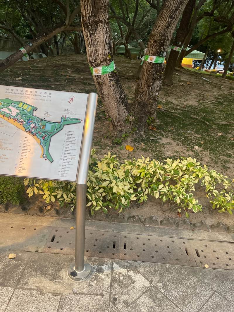 walking near me in Butterfly Beach Park in autumn