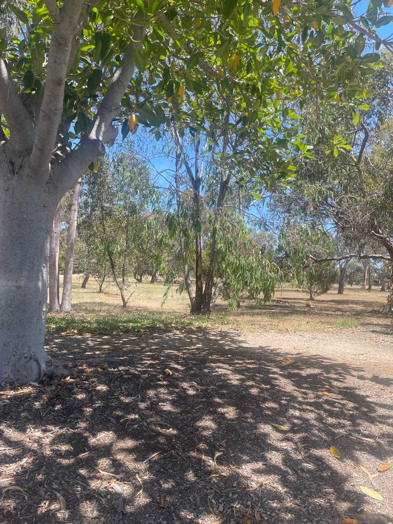 walking near me in Park 21W in summer