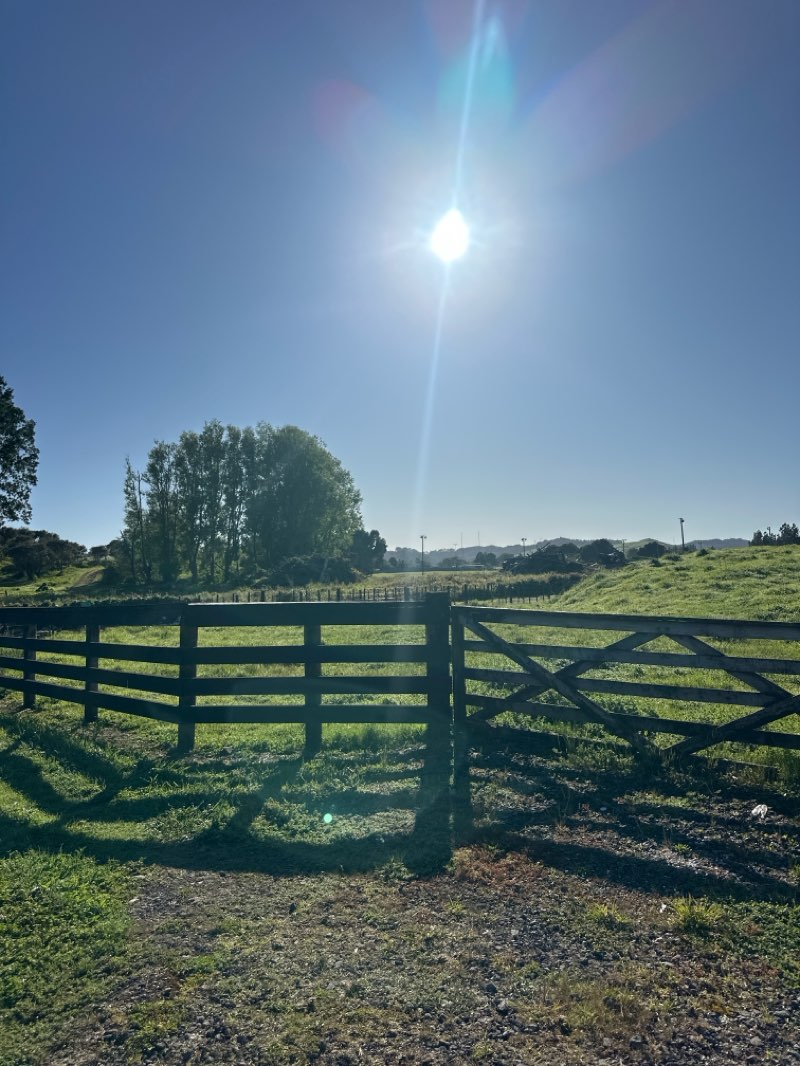 walking near me in Maihi Memorial Park in spring