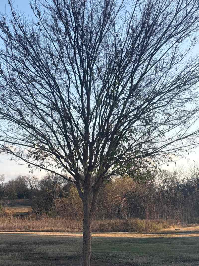 walking near me in Ruby Grant Park in autumn