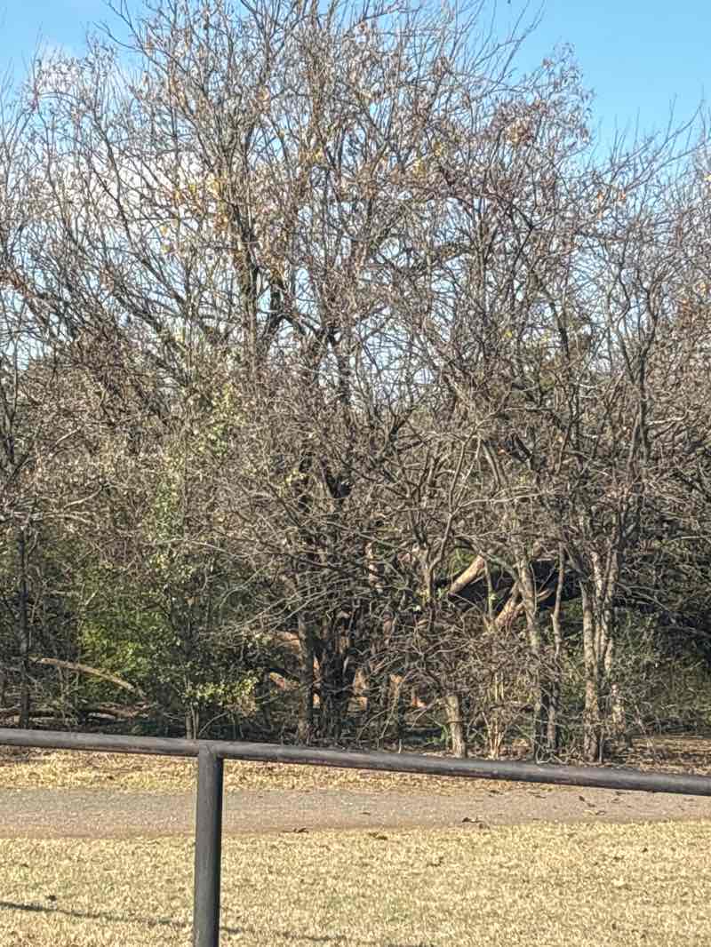 walking near me in Sutton Urban Wilderness Park in autumn