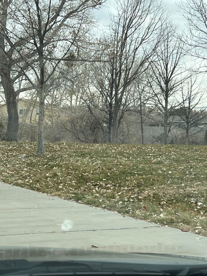 walking near me in Solida Del Sol Park in winter