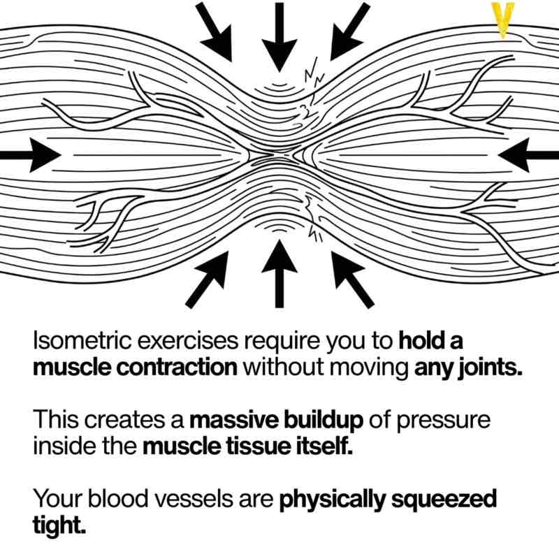 January Distance Challenge ✨Praetor✨ post image