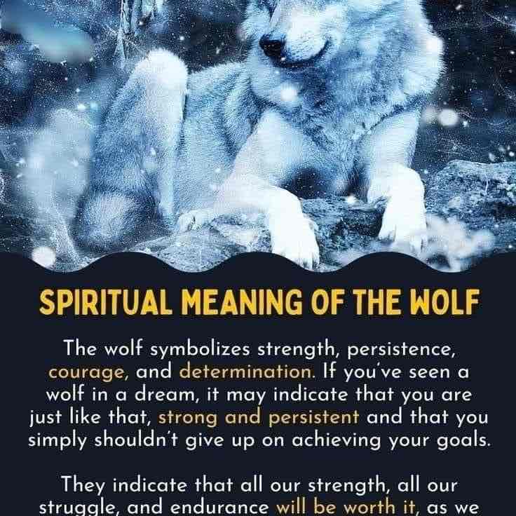 Valley of the Wolves ✨Praetor✨ post image