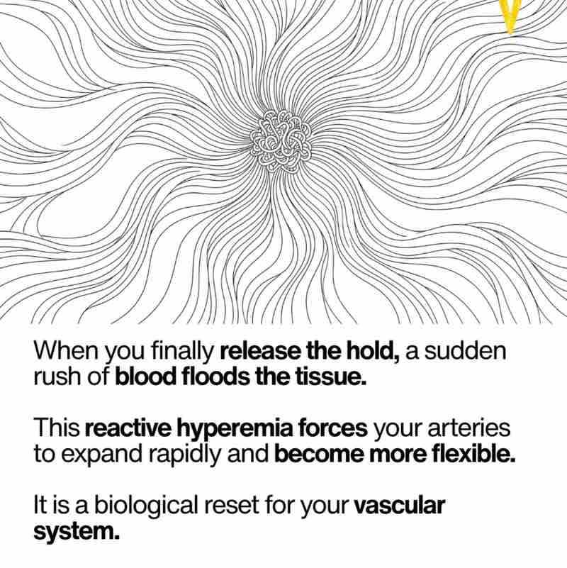 January Distance Challenge ✨Praetor✨ post image