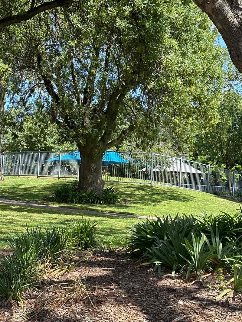 walking near me in Soutar Park in spring