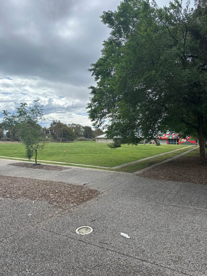 walking near me in Mobara Park in spring