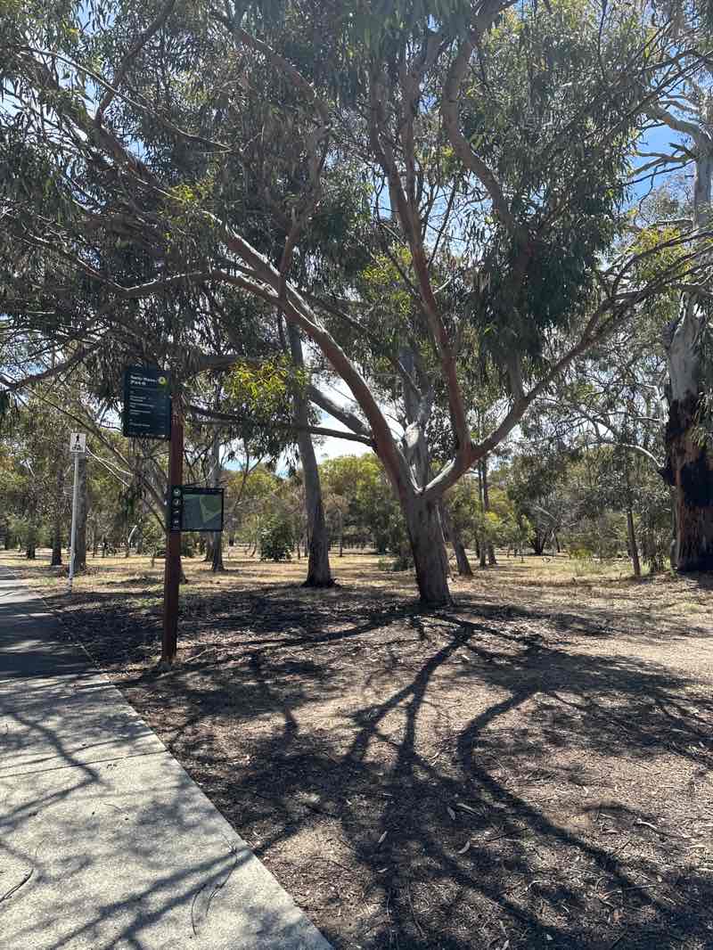 walking near me in Lefevre Park / Nantu Wama (Park 6) in summer