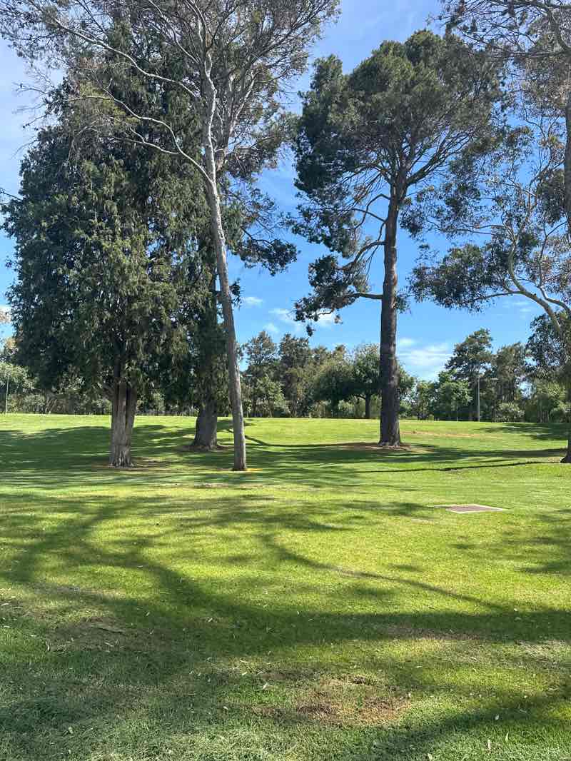 walking near me in Rundle Park in summer