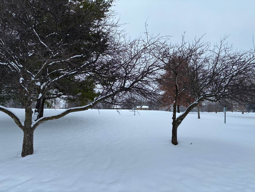 walking near me in Bob Arnold Northside Park in winter