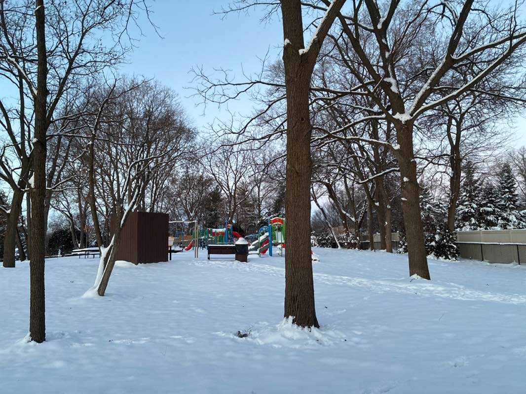 walking near me in Lions Park in winter