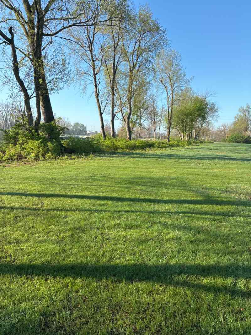 walking near me in Johnny Appleseed Memorial Park in spring