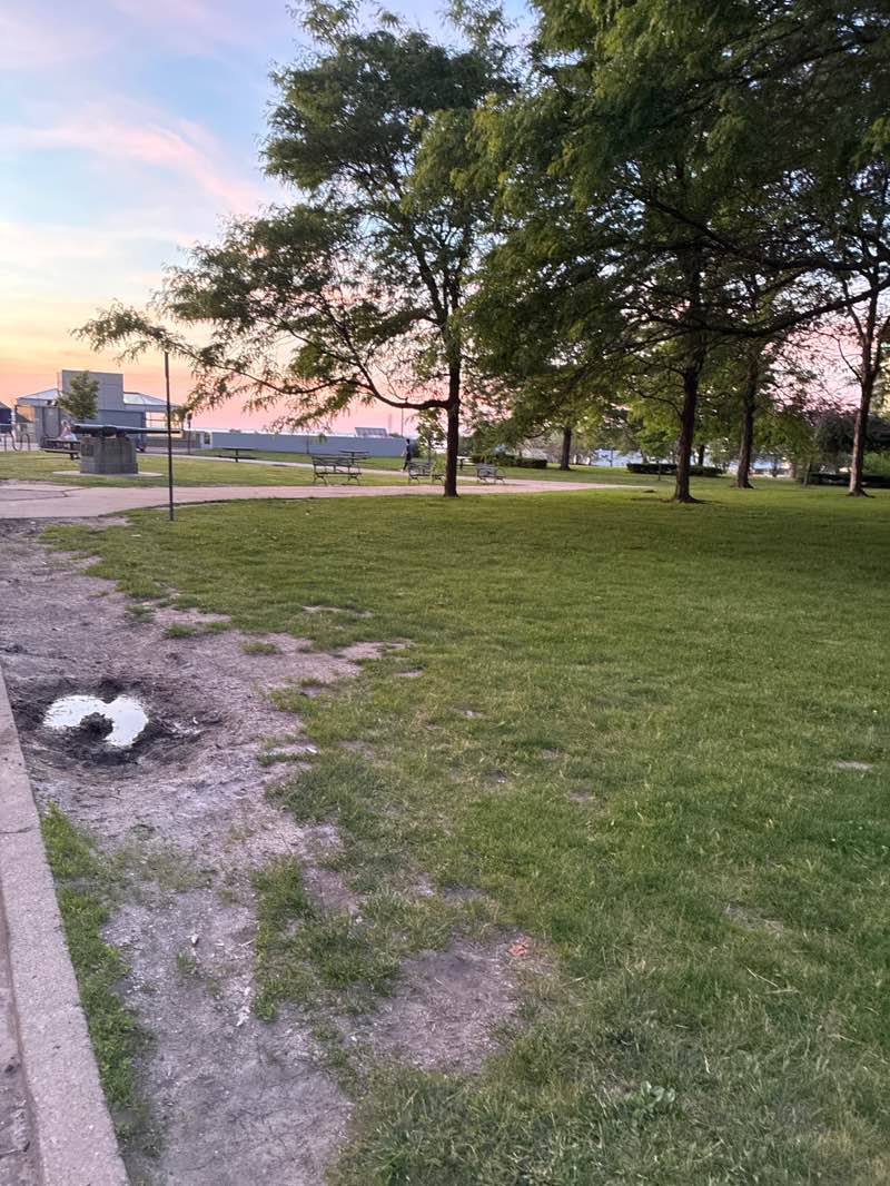 walking near me in Willard Park in summer