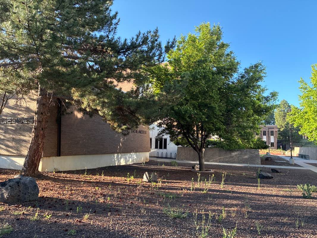 walking near me in South Quad in summer