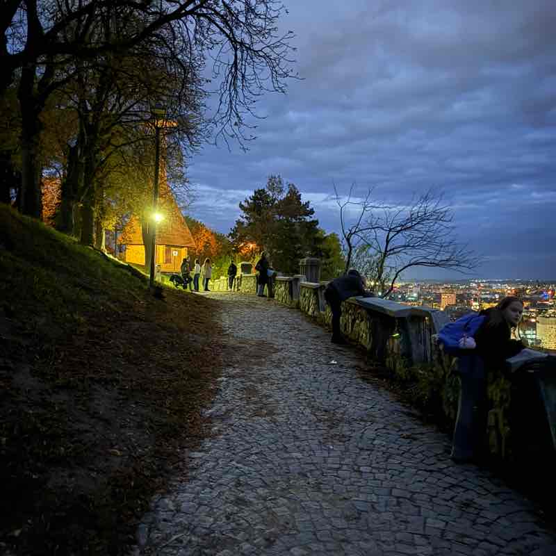 Gyongyi Noemi post 2