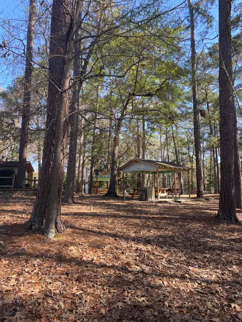 walking near me in Corley Street Park in spring
