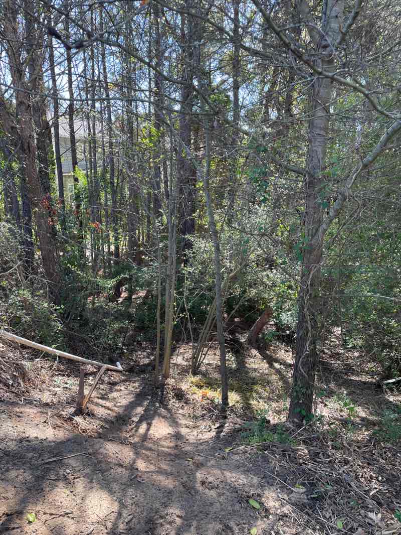 walking near me in Cherokee Pond Park in spring