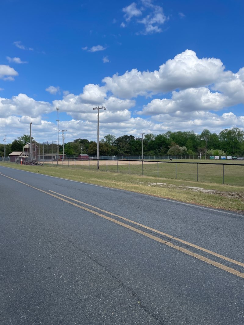 walking near me in Ellerbe Park in spring