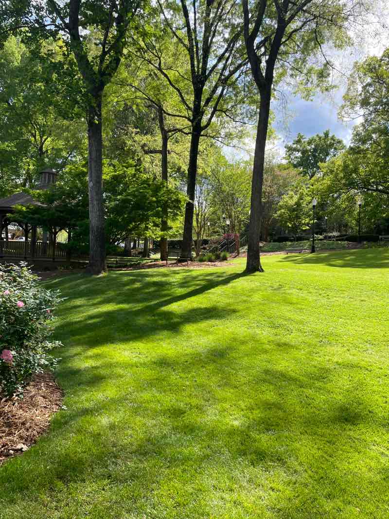 walking near me in Irmo Community Park in spring