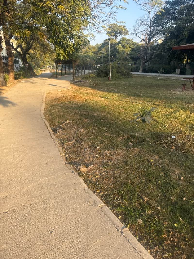 walking near me in Kargil Park in winter
