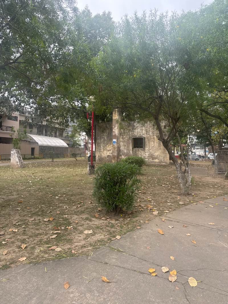 walking near me in Local Park in spring