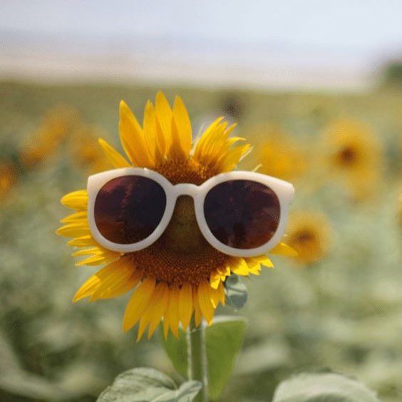 Peace ☮️ and Love ❤️ Jace post image