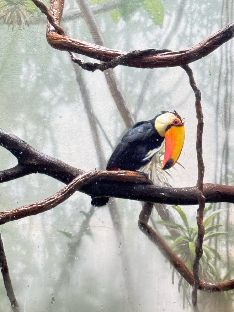 walking near me in Bryant Park in autumn