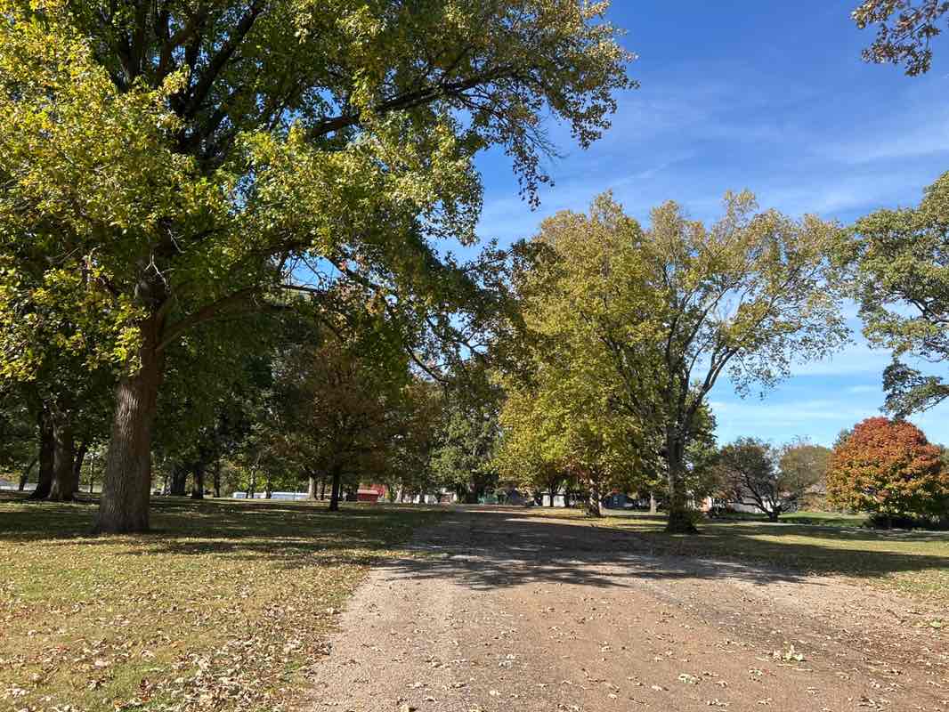 walking near me in Memorial Park in autumn