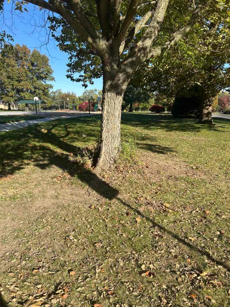 walking near me in Exchange Club Park in autumn
