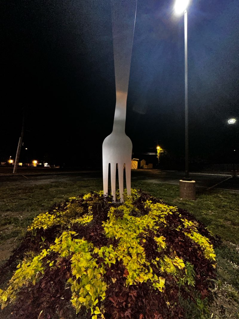 walking near me in Tri-Angle Park in autumn