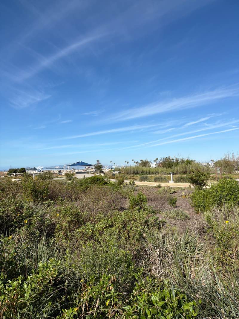 walking near me in River's End Park in spring
