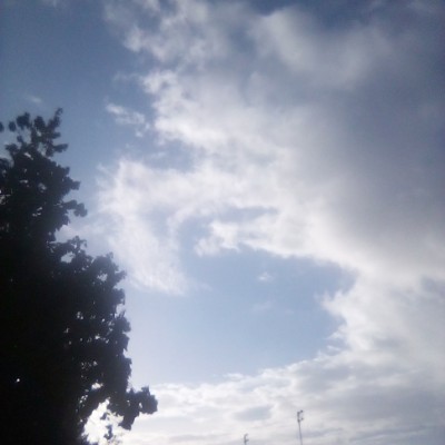 Mayores de 50 años Wilfredo quiles post image