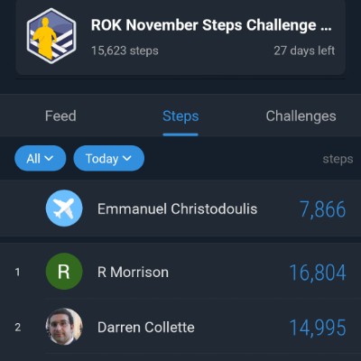 ROK Fitness Cross Platform Emmanuel Christodoulis post image