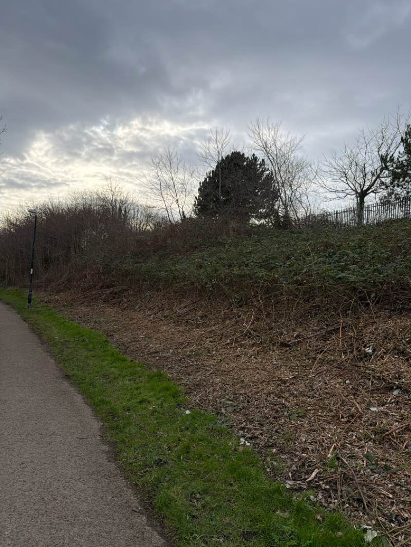 walking near me in Pocket Park in winter