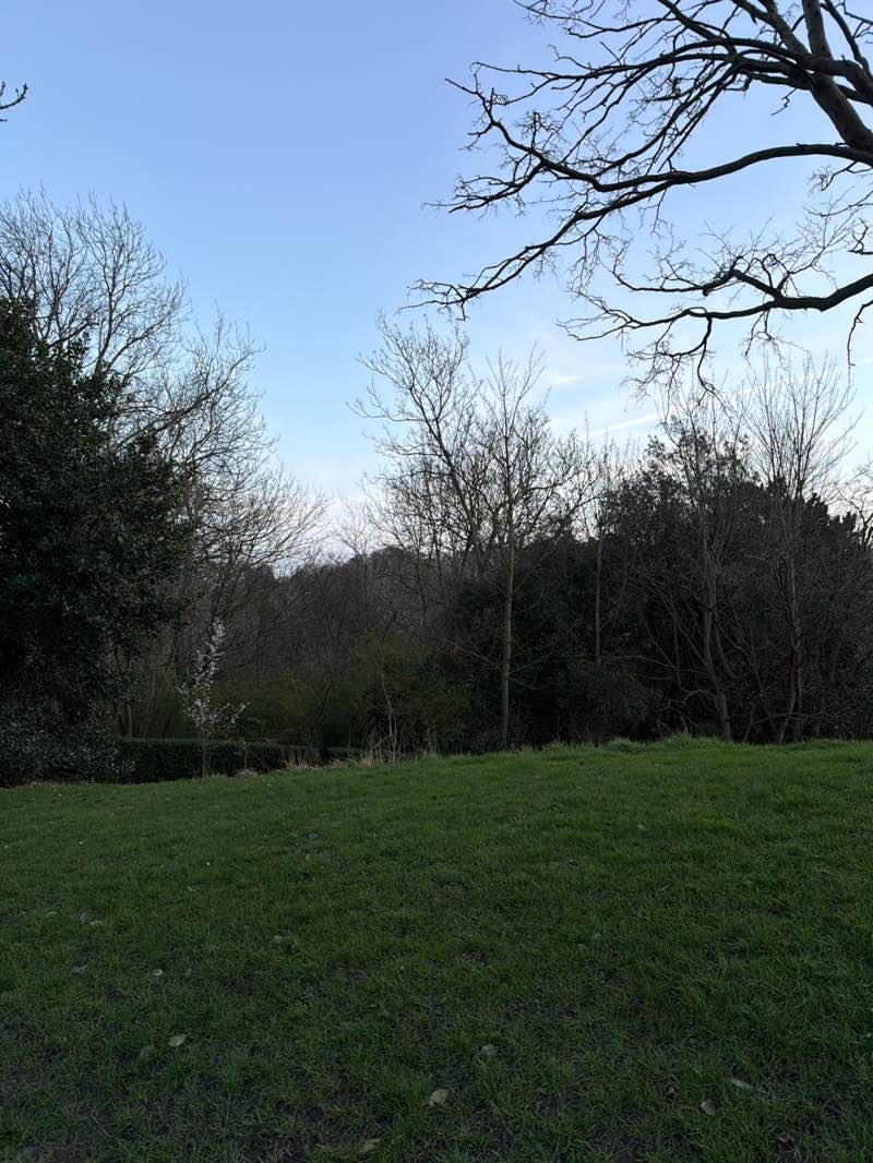 walking near me in Barnes Park in spring