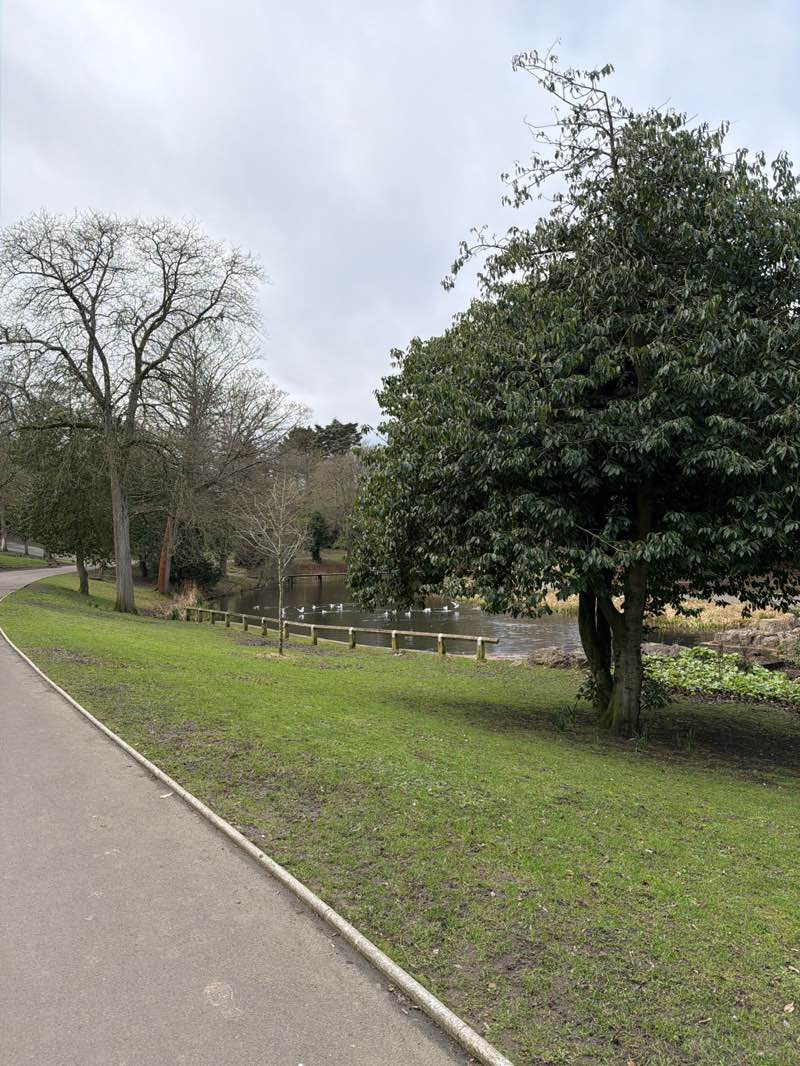 walking near me in Barnes Park in spring