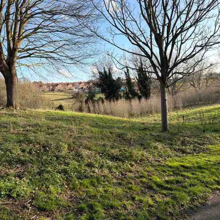 chantelle🦋🍒🎀🖤 post 2