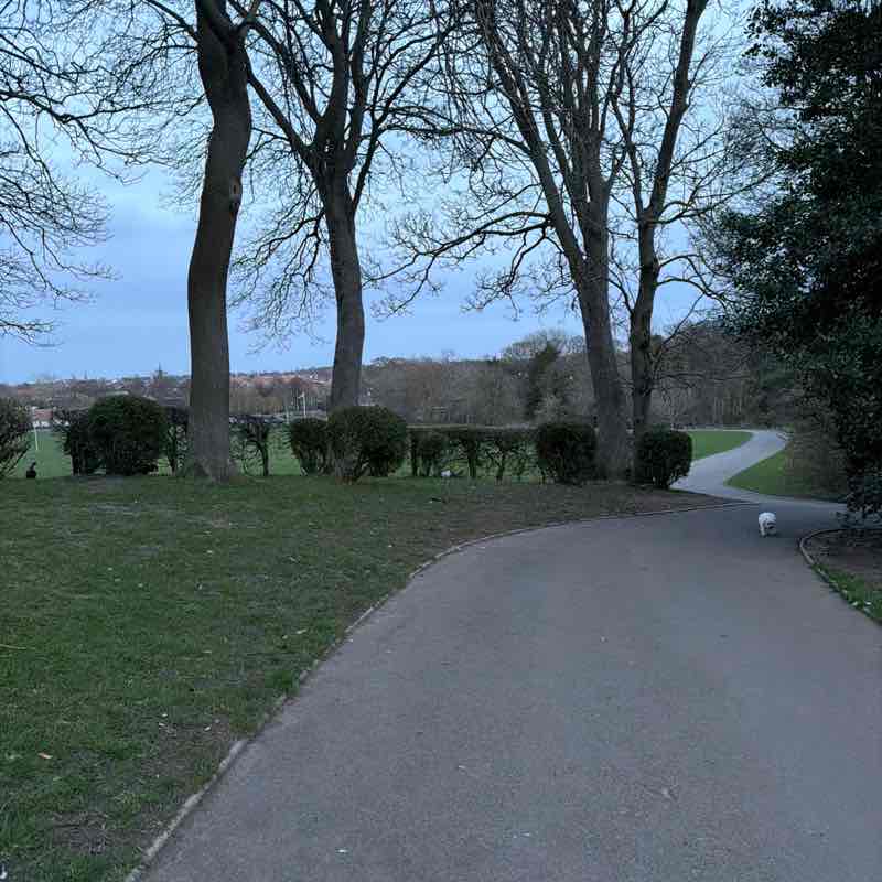 chantelle🦋🍒🎀🖤 post 1