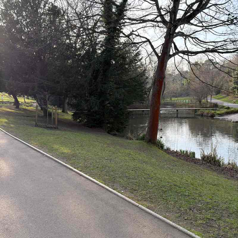 chantelle🦋🍒🎀🖤 post 2