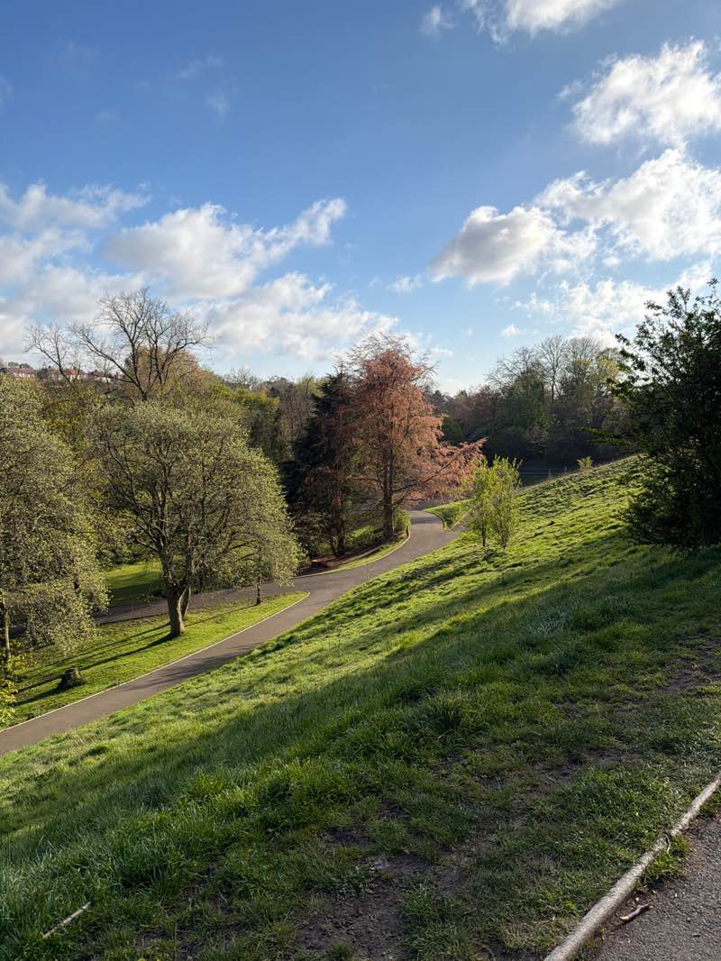 walking near me in Barnes Park in spring