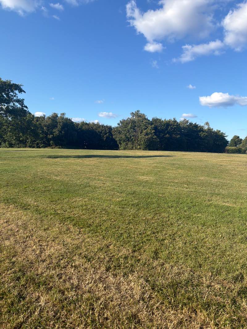 walking near me in Blackie Park in summer