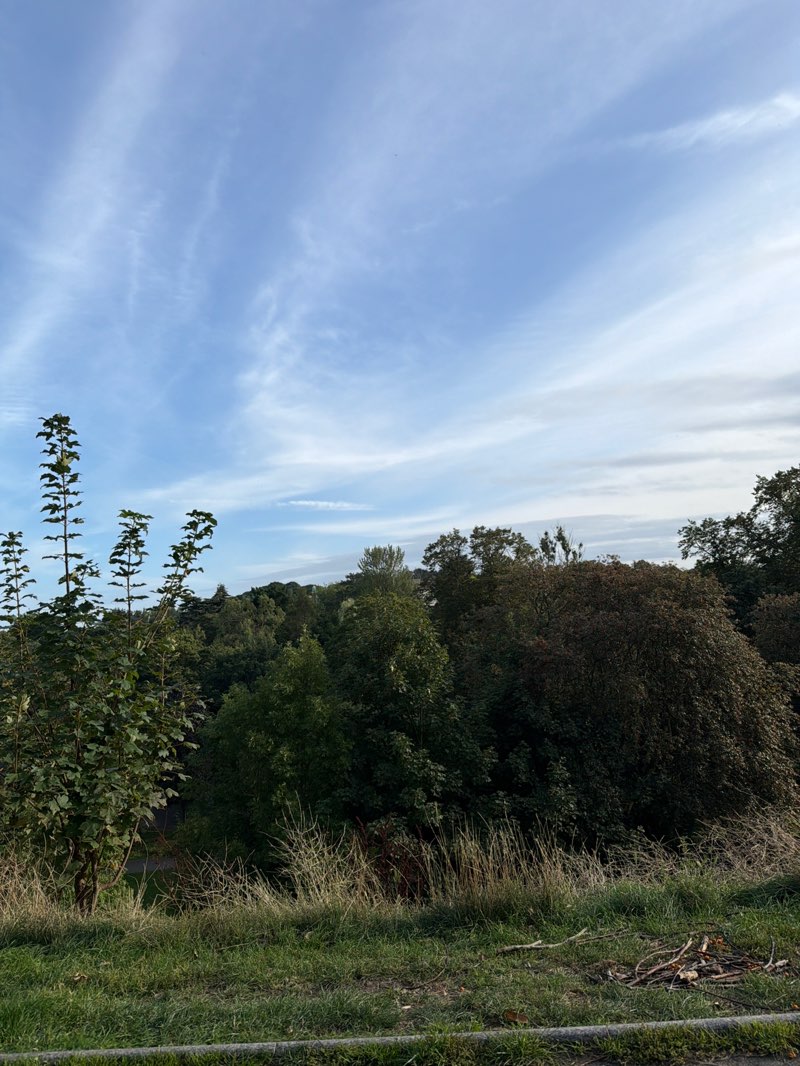 walking near me in Barnes Park in autumn