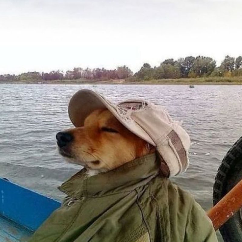 Luis Seañez profile