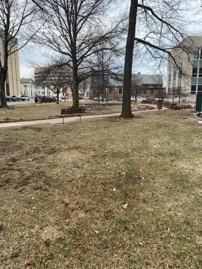 walking near me in City Hall Park in spring