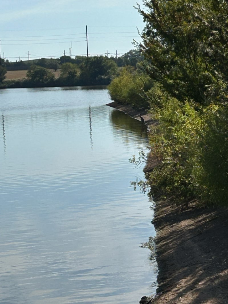 walking near me in Boomer Lake Park in autumn